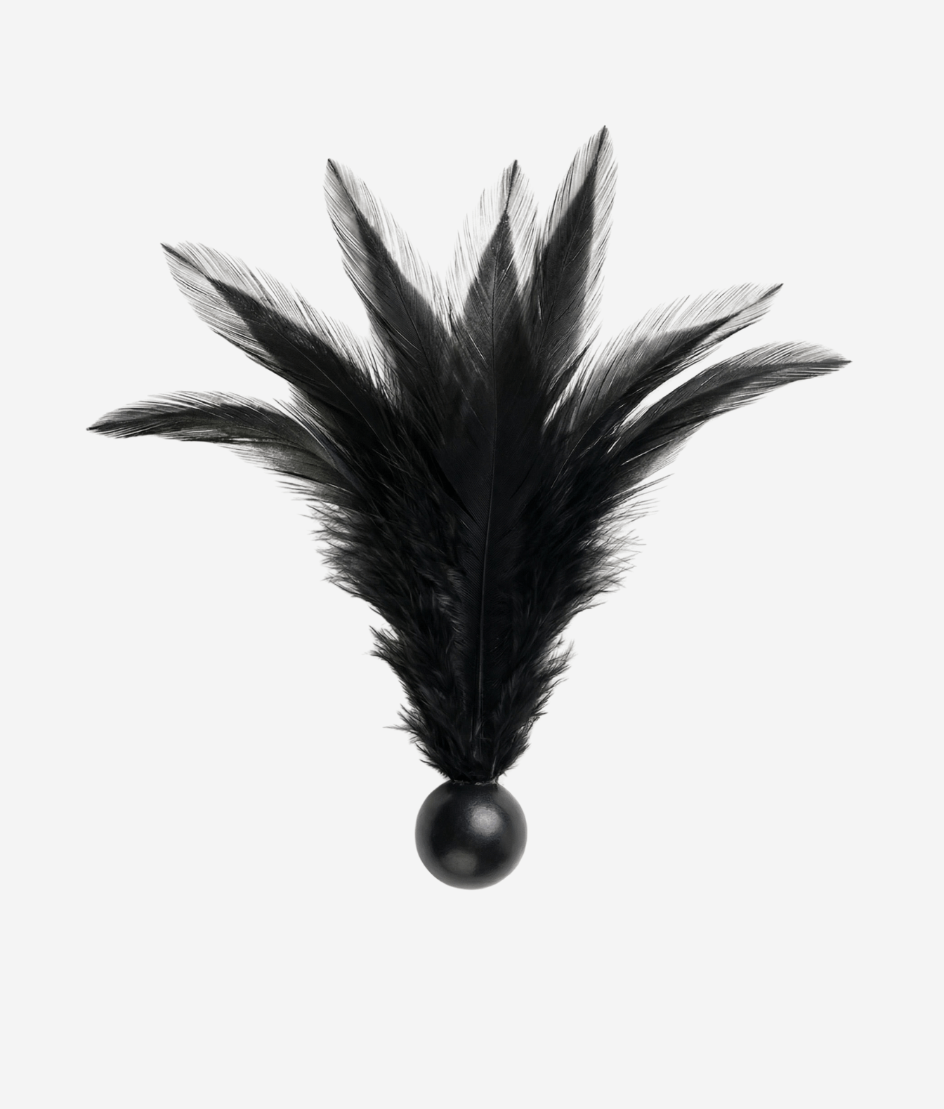 Mr. & Mrs. Piórko z dłuższymi piórkami