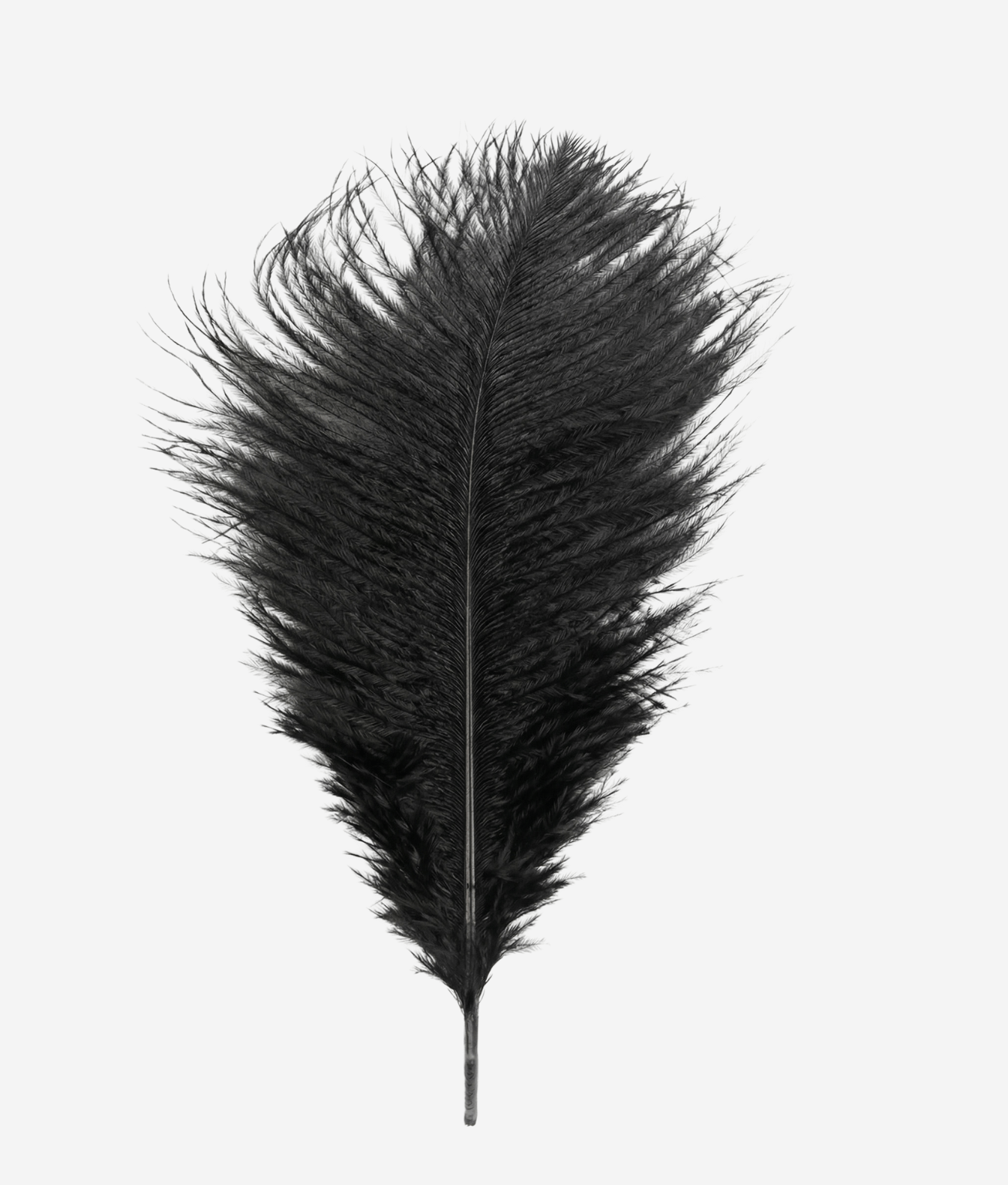 Mr. & Mrs. Piórko Dekoracyjne strusie