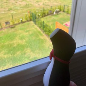 Satisfyer Penguin bezdotykowy masażer - wibrator Pingwinek