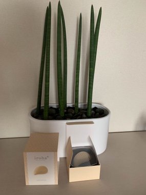 Iroha Kushi masażer w kształcie muszli