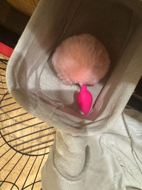 Mr. & Mrs. korek króliczy różowy