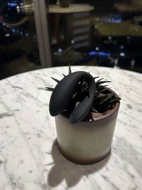 N69 ROYAL wibrator dla par