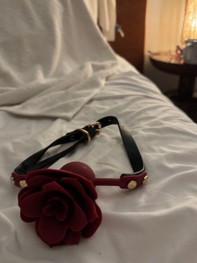 Mr. & Mrs. knebel w kształcie róży