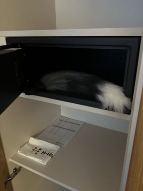 Mr. & Mrs. Sztuczny ogon szary