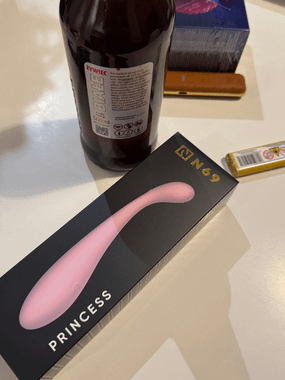 N69 PRINCESS