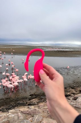 Magic Motion Flamingo wibrująca kulka z aplikacją na telefon